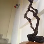 Modern House אפיטוס