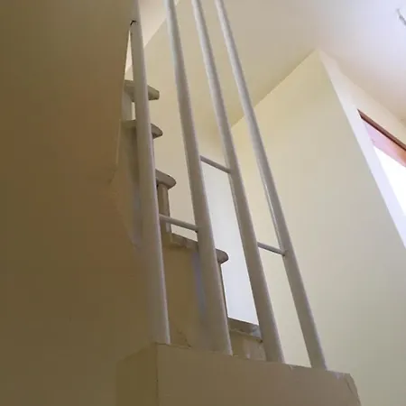 Modern House Εξοχικό σπίτι Άφυτος