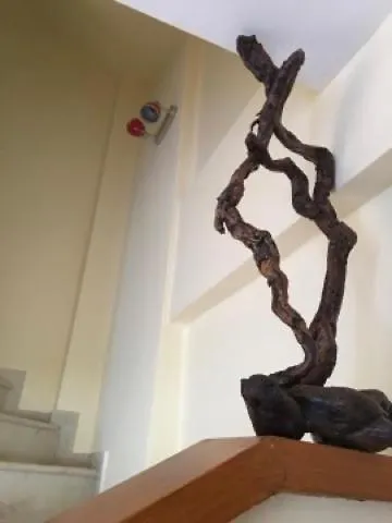 Modern House Áfitosz