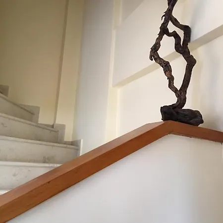 منزل ريفي Modern House